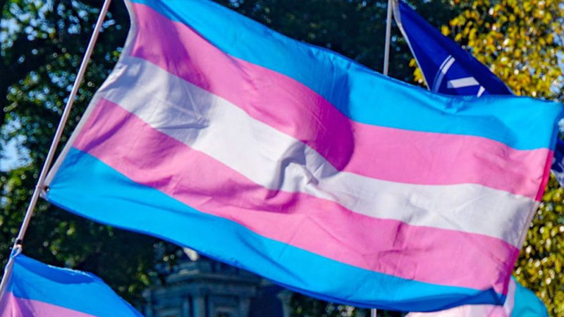 Trans Rights are HUMAN RIGHTS! 