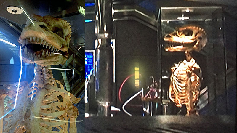 (Paramount+) The skeleton of a Gorn as seen in Discovery 