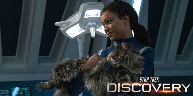 Preview – Discovery 311 – “Su’Kal” – Synopsis, Photos & More…
