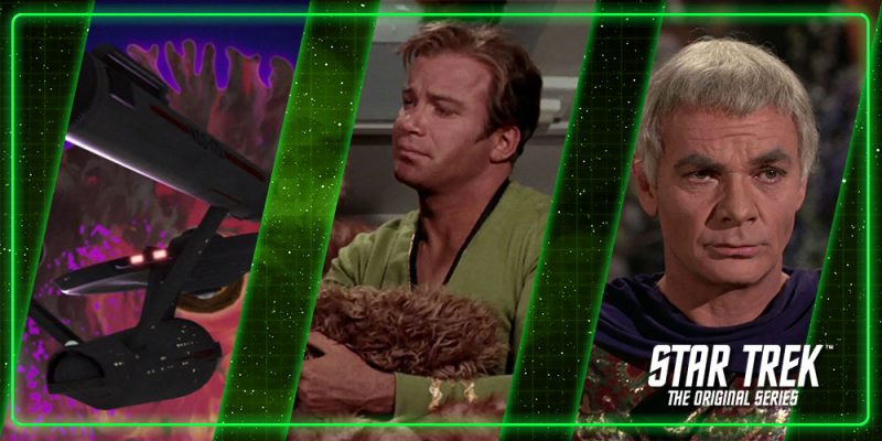 Header Immortality, Tribbles, and Space Plague - A Three-Part TOS Retrospective